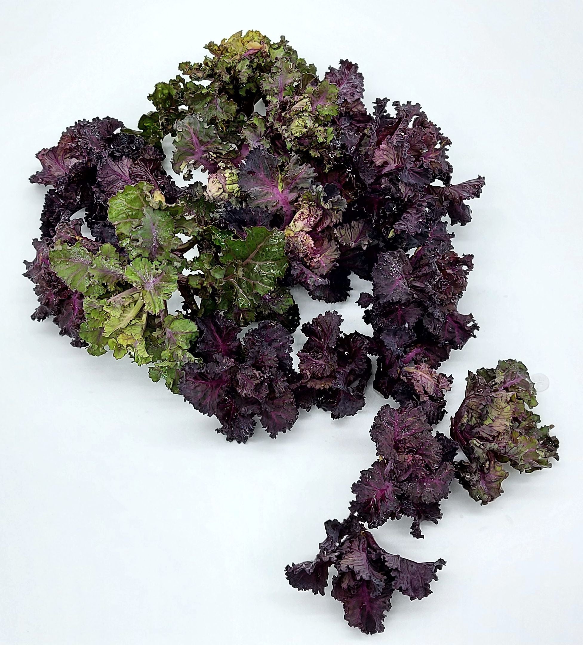 Flower Sprouts
